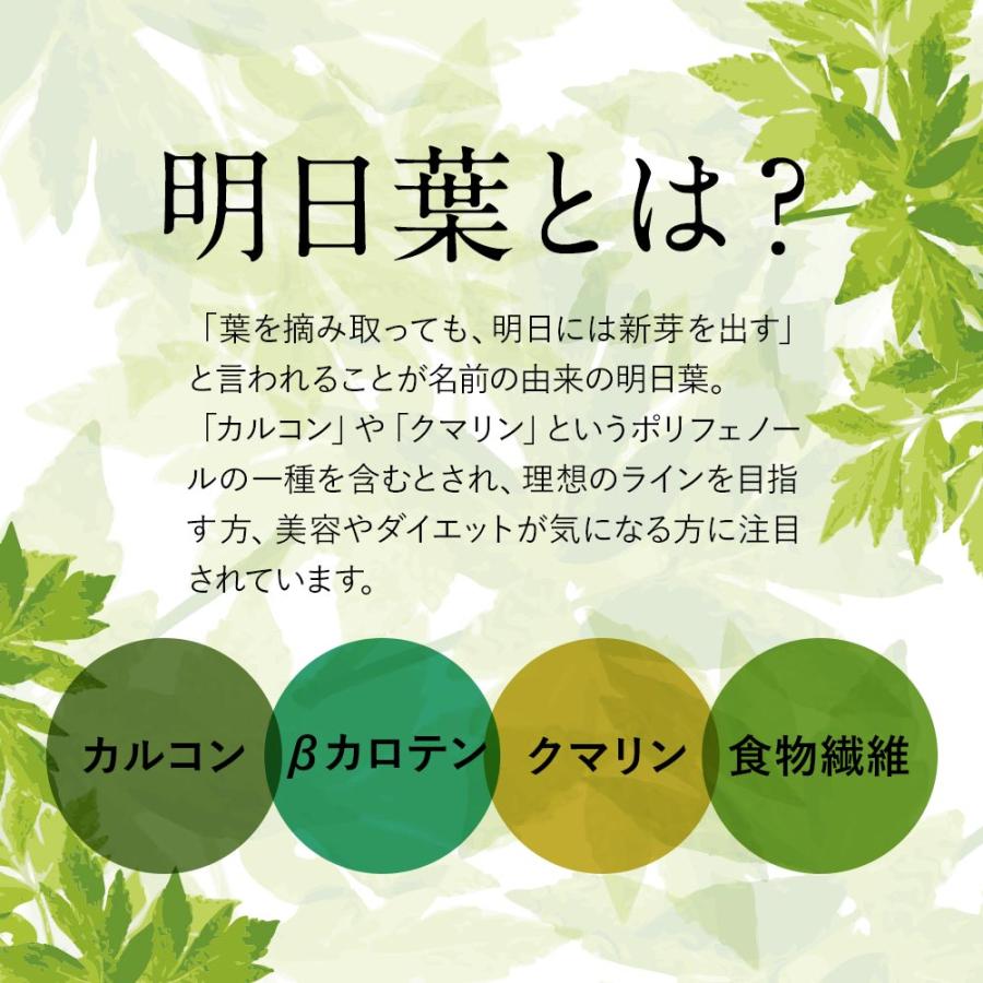 明日葉 粉末 青汁 (100g) 明日葉粉末 パウダー 国産 無添加 あしたば あしたば茶 粉末茶 美容 健康 ダイエット サプリ 鹿児島県 カルコン βカロテン ベータカロ｜wakeariya｜03