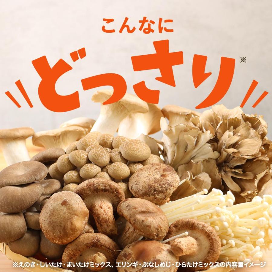 乾燥きのこ 3種 ミックス 50g 国産 しいたけ まいたけ えのき エリンギ