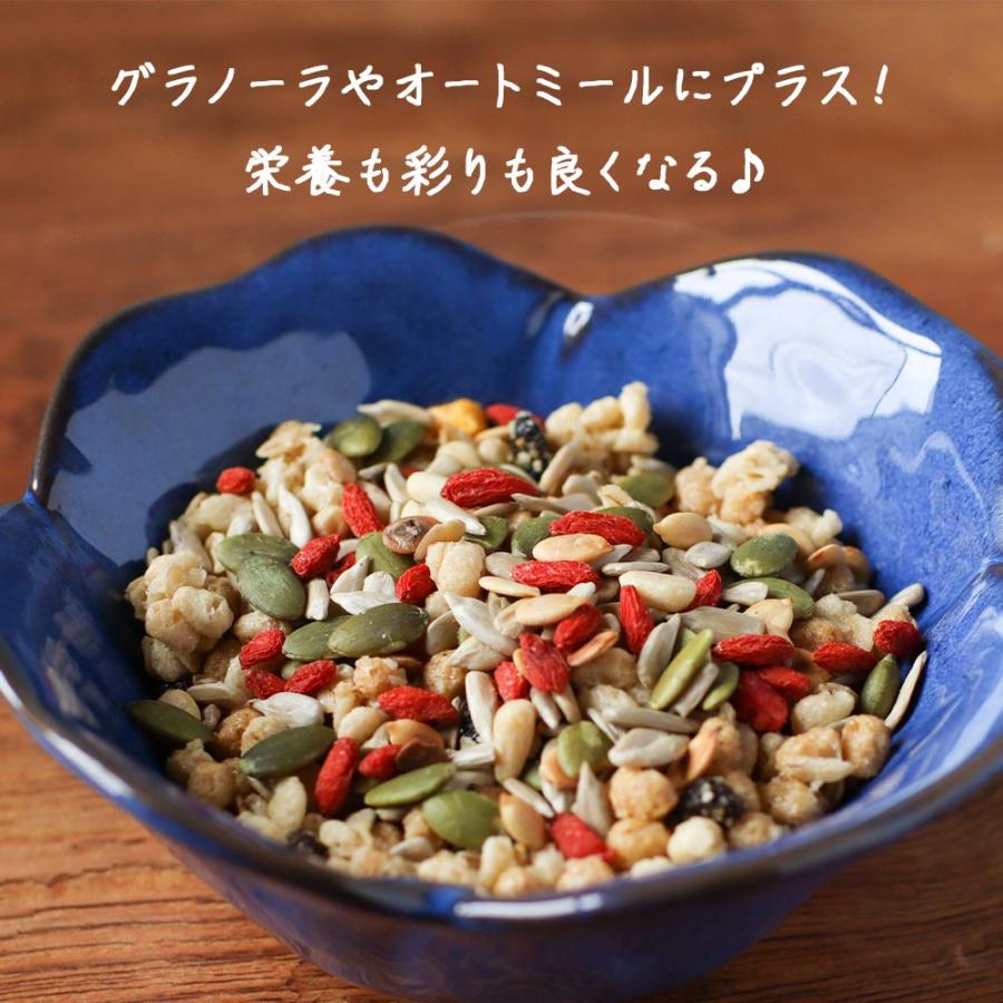 ひまわりの種 5種 シードミックス 松の実 無塩 240g ミックス ひまわりの種 5種 シードミックス 松の実 無塩 240g ミックス