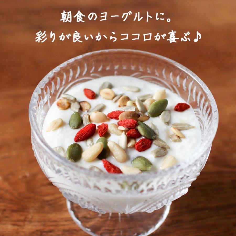 ひまわりの種 5種 シードミックス 松の実 無塩 240g ミックス ひまわりの種 5種 シードミックス 松の実 無塩 240g ミックス