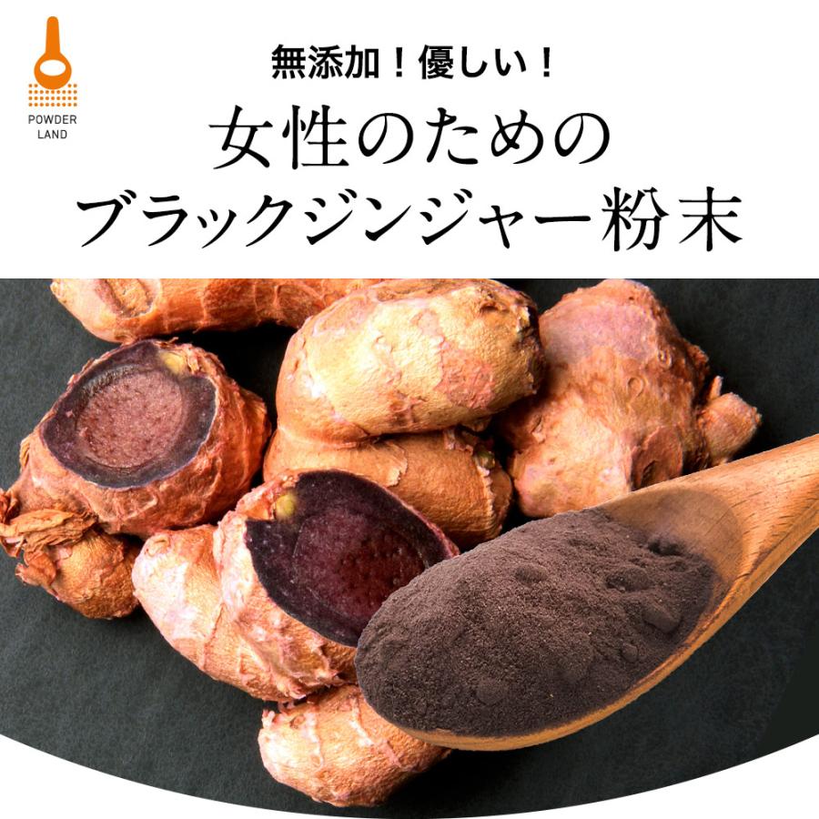 ブラックジンジャー、クラチャイダム、黒ショウガ、黒しょうが、観葉植物、植物、芋 ブラックジンジャー、クラチャイダム、黒ショウガ、黒しょうが