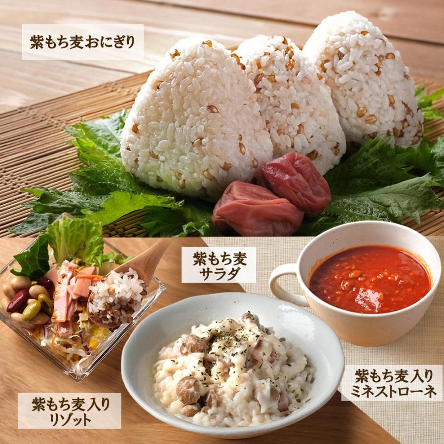 ポイントアップ 紫もち麦 国産 皮付き 500g 有機JAS認証 ダイシモチ