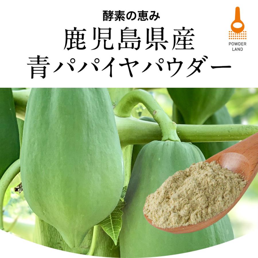 青パパイヤ 酵素 粉末 パウダー 60g 国産 スーパーフード 無添加 添加