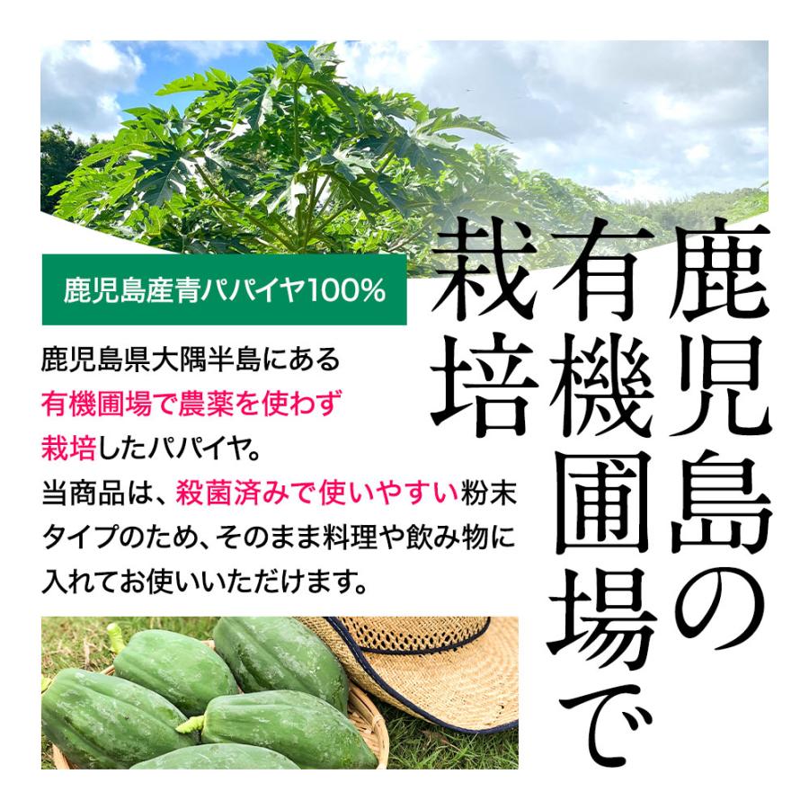 青パパイヤ 酵素 粉末 パウダー 60g 国産 スーパーフード 無添加 添加