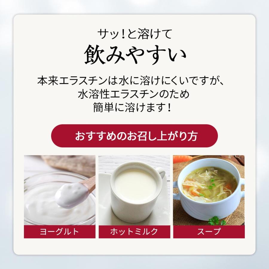 エラスチン 粉末 サプリ コラーゲン ヒアルロン酸 6g 国産 高分子 