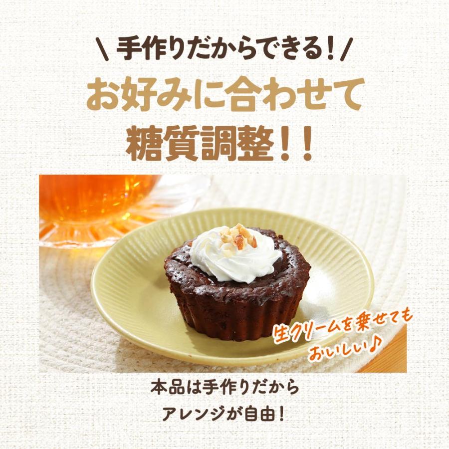 低糖質 チョコレートの素 150g ココアパウダー ガーナ産 ダイエット