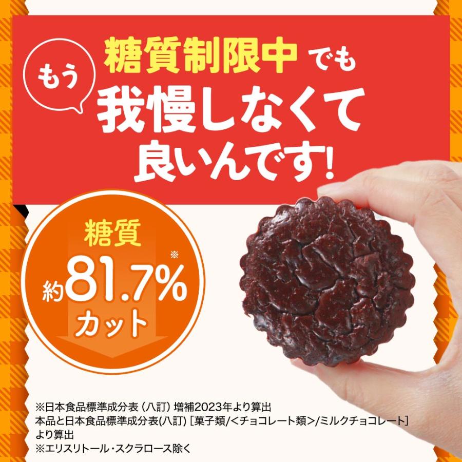 低糖質 チョコレートの素 150g ココアパウダー ガーナ産 ダイエット