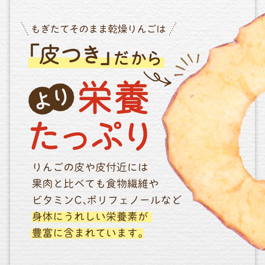 りんごチップス ドライアップル 国産 長野県産 70g りんご約840g分