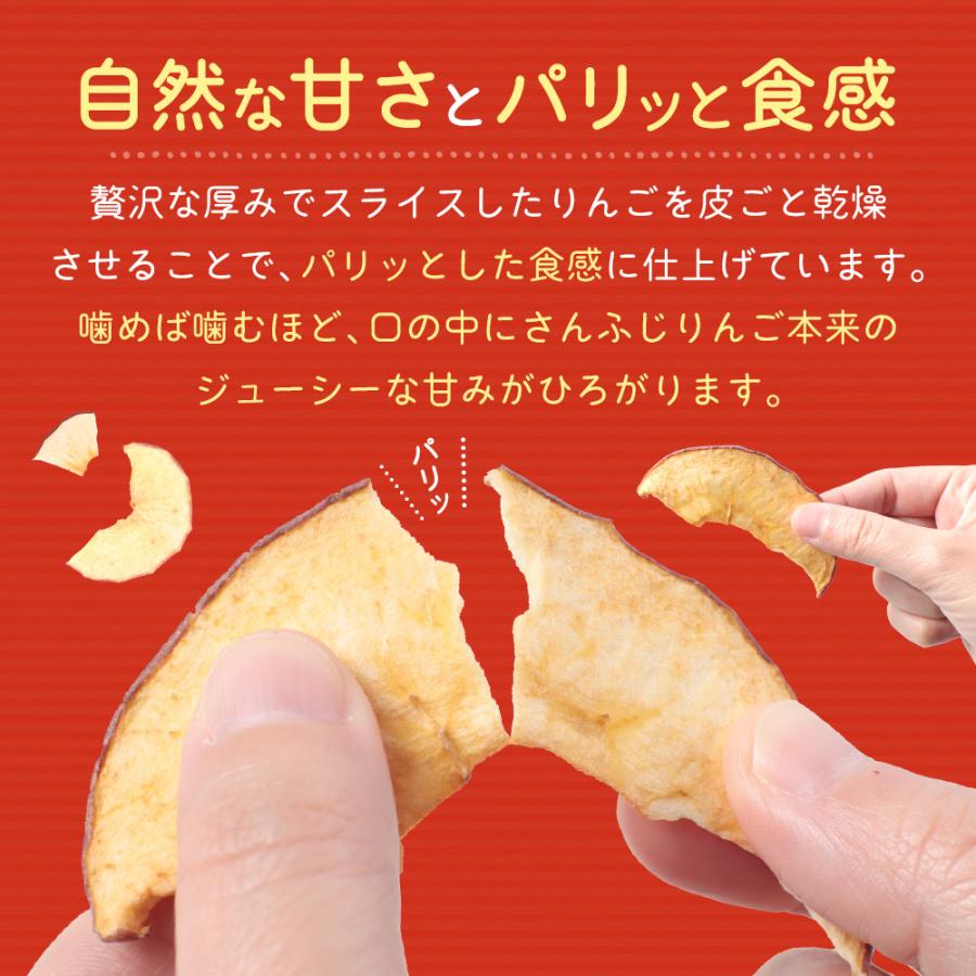 りんごチップス ドライアップル 国産 長野県産 70g りんご約840g分