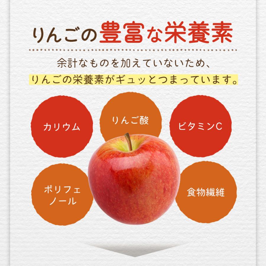 りんごチップス ドライアップル 国産 長野県産 70g りんご約840g分