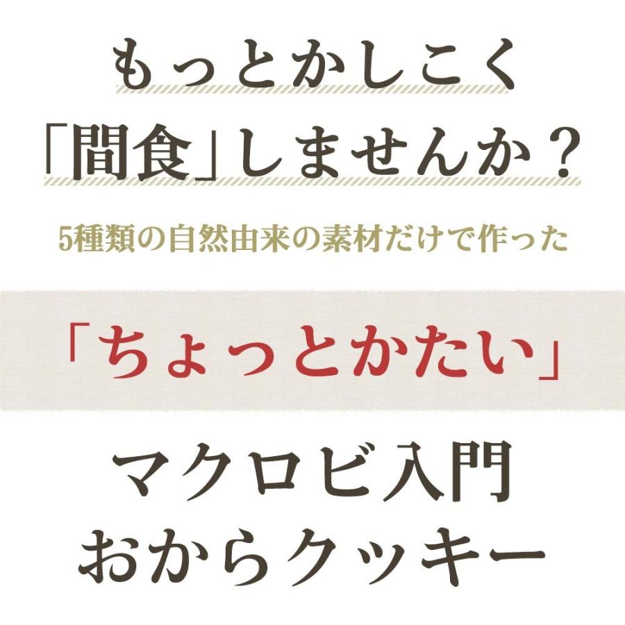 ちょっとだけかたい マクロビ 豆乳おからクッキー 500g ダイエット おから おからクッキー おやつ 食品 硬い TSG TN｜wakeariya｜03