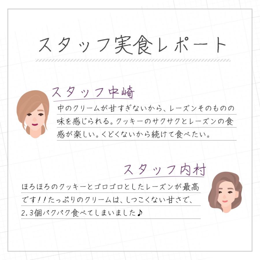 6個セット ごろっと ほろほろしっとり レーズンサンド 21時のくつろぎスイーツ 送料無料 お菓子 ギフト 個包装 洋菓子 おかし メール便a Tsg Tsg0211 訳あり屋 通販 Yahoo ショッピング