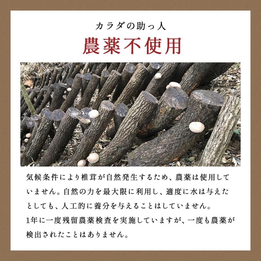 干し椎茸 国産 訳あり 110g 原木栽培 自然栽培 割れ欠け 規格外 大分県