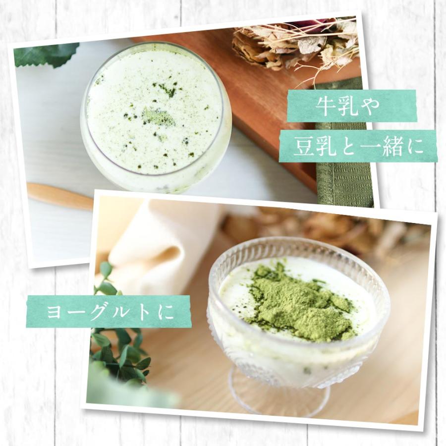 有機モリンガパウダー 110g 青汁 オーガニック 国産 有機JAS認定 ポリフェノール 鉄分 スーパーフード 食物繊維 : 訳あり屋 - 通販 -  Yahoo!ショッピング