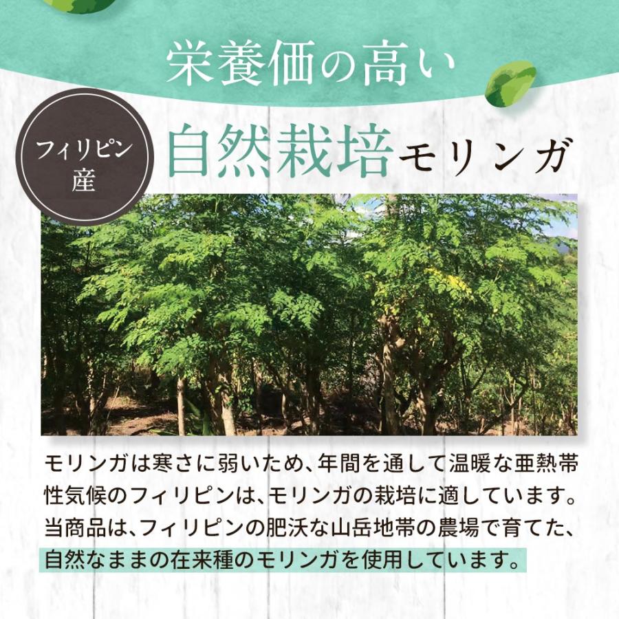 有機モリンガパウダー 110g 青汁 オーガニック 国産 有機JAS認定 ポリフェノール 鉄分 スーパーフード 食物繊維 : 訳あり屋 - 通販 -  Yahoo!ショッピング