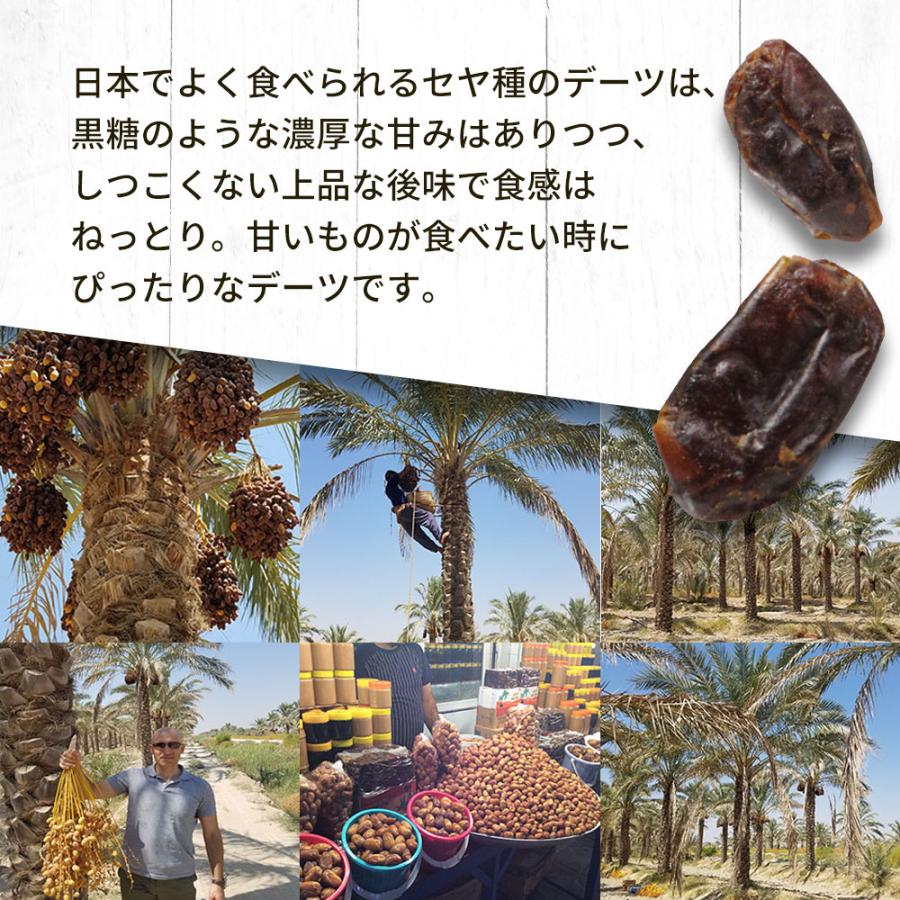 ドライデーツ ホール 種なし 種ぬき 500g 低GI 砂糖不使用 ノンオイル