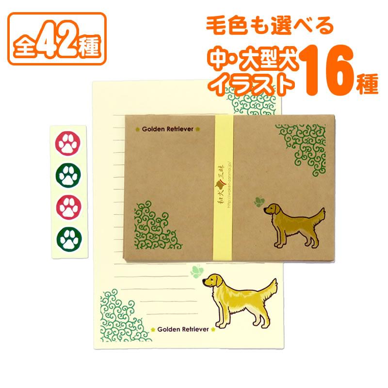 レターセット（中・大型犬） ゴールデンレトリバー ラブラドール
