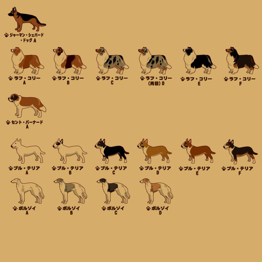 レターセット（中・大型犬） ゴールデンレトリバー ラブラドール