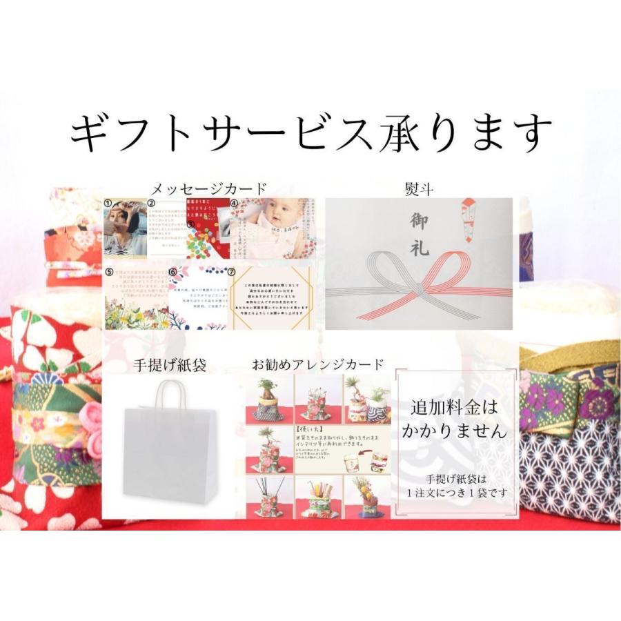 激安挑戦中 出産内祝い 出産祝い お米 プレゼント福結び 結 Type U 結婚内祝い お返し 手土産 女の子 おしゃれ かわいい 七五三 コシヒカリ Materialworldblog Com