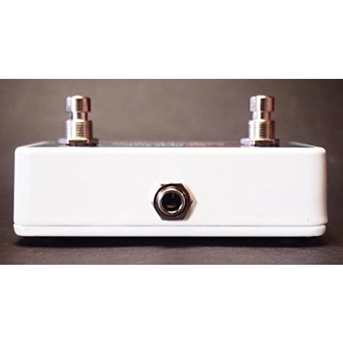 Electro-Harmonix 22500 Foot Controller フットコントローラー_3