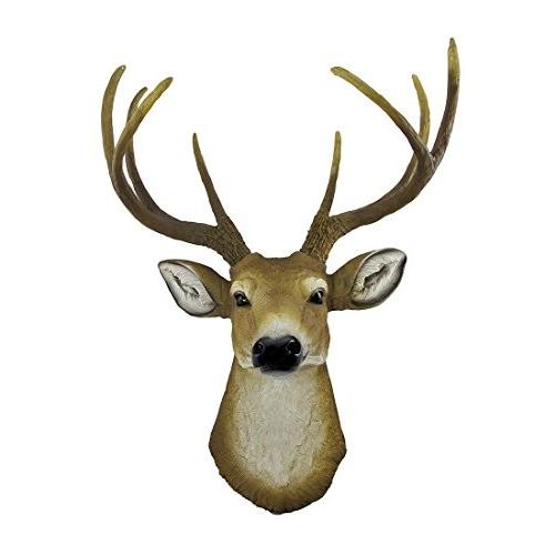 8 Point Buck Deer Head Bust Wall Hanging