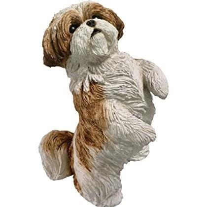 Sandicast Original Size Gold and White Shih Tzu Sculpture， Sitting Pretty_1