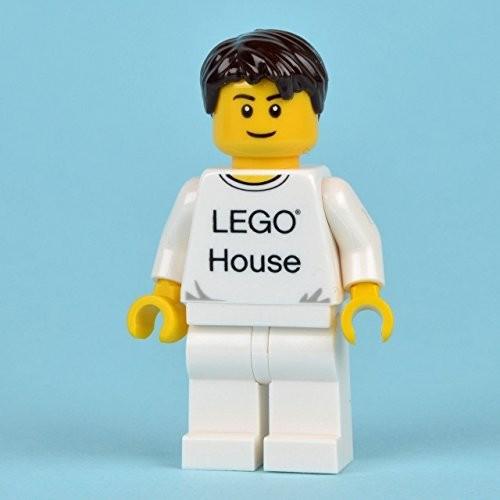 海外 限定 レゴ 4000010 デンマーク ビルン LEGO レゴ ハウス アーキテクチャー レゴハウス 250ピース leの画像