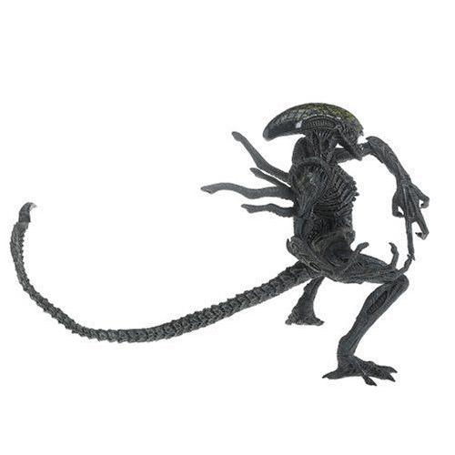 マクファーレントイズ　グリッドエイリアン　12インチ　フリュー　プレデリアン マクファーレントイズ ALIEN 12inch GRID ALIEN(グリッドエイリアン12
