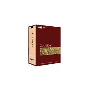 ◆YELLOW TOOLS CANDY サクソフォン音源モデュール◆ 楽器、手芸、コレクション-その他楽器、機材、関連用品-楽器、器材