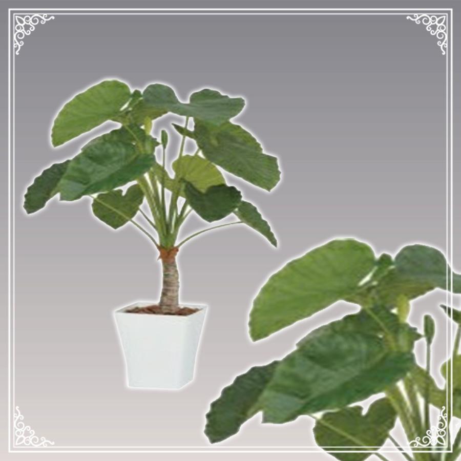 超激安 クワズイモ 人工観葉植物 フェイクグリーン おしゃれ インテリア Gd 162m Gd 162m ワコウ Yahoo 店 通販 Yahoo ショッピング 新版 Www Maxipiso Com Ar