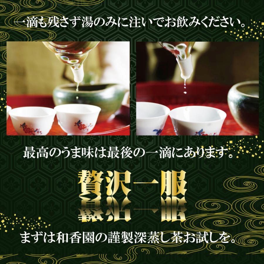 緑茶伝説 薫 70g 袋タイプ 高級深蒸し茶 鹿児島茶 リーフ 茶葉 煎茶 ポイント消化ok Ryokuchadensetu Kaori70 お茶の和香園 通販 Yahoo ショッピング