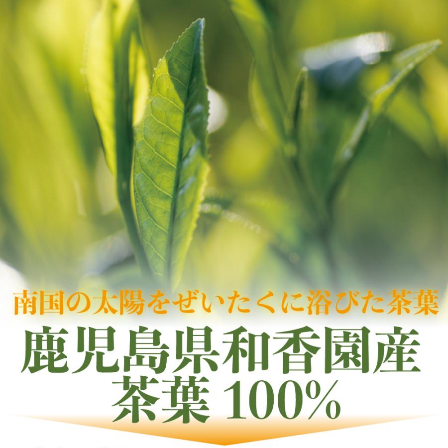 緑茶伝説 薫 70g 袋タイプ 高級深蒸し茶 鹿児島茶 リーフ 茶葉 煎茶 ポイント消化ok Ryokuchadensetu Kaori70 お茶の和香園 通販 Yahoo ショッピング