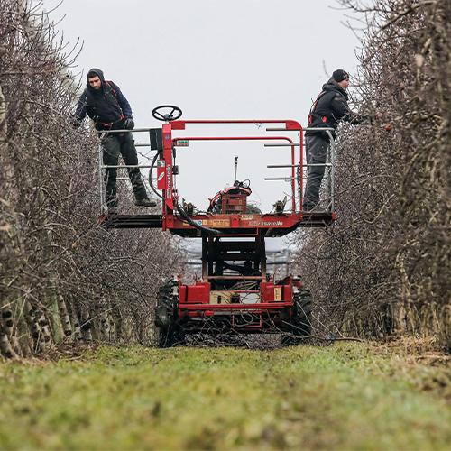 INFACO 電動剪定バサミ 906C 替え刃 交換刃 下刃 F3020用 剪定バサミ