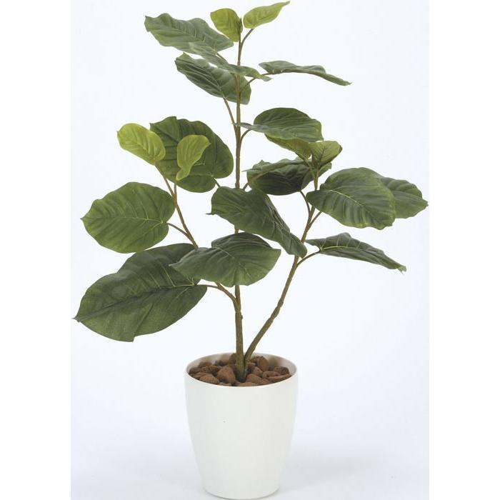 光の楽園 ウンベラータ 211A100 アートグリーン 人工観葉植物 光触媒