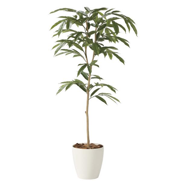 光の楽園 アムステルラバーキング１．８ 2248A360 アートグリーン フェイクグリーン 人工観葉植物 光触媒