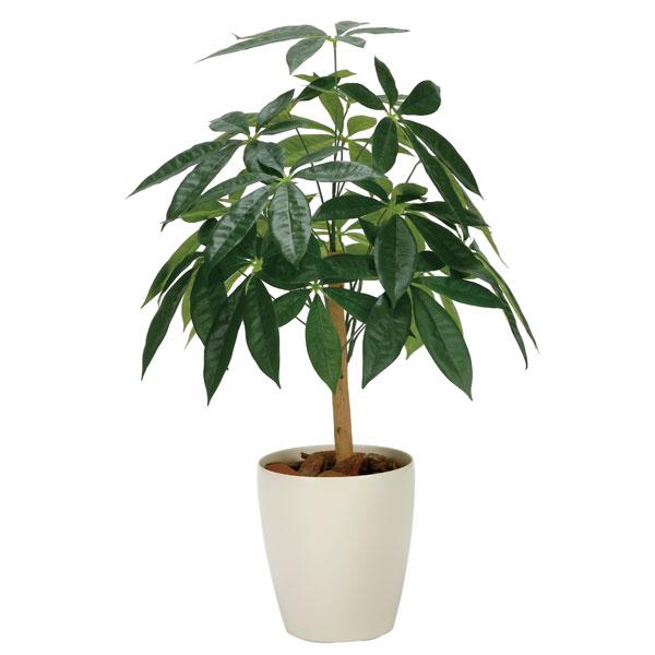 光の楽園 パキラリーフツリー７２ 2345A100 アートグリーン フェイクグリーン 人工観葉植物 光触媒（Yahoo!・わくわくファニチャー）