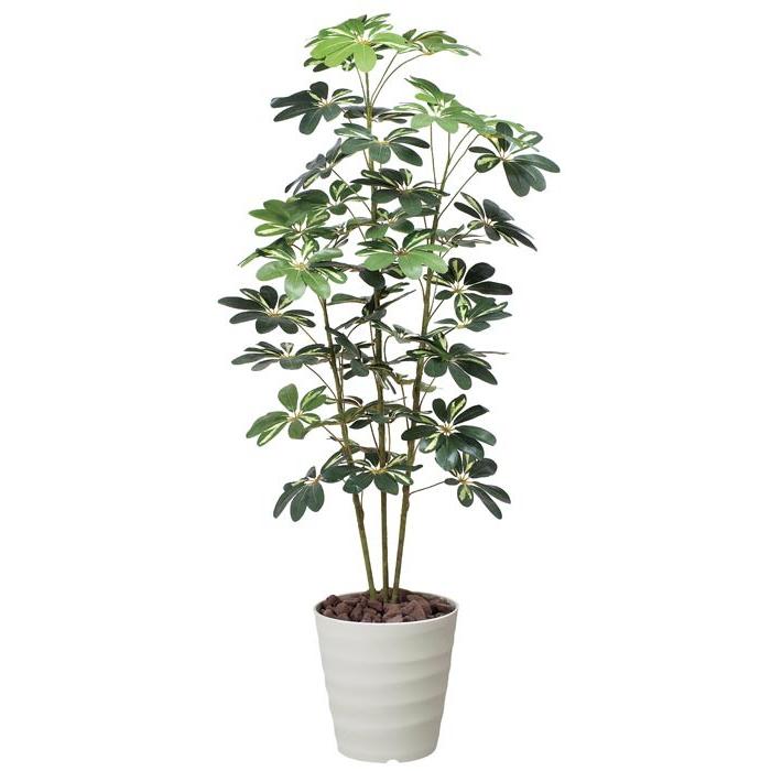 光の楽園 カポック斑入り1.5 355R220 アートグリーン 人工観葉植物 光触媒
