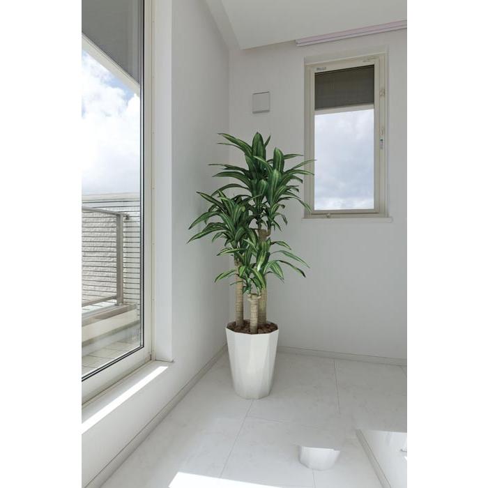 幸福の木1.6 400P350 アートグリーン 【フェイク】 人工観葉植物 光触媒