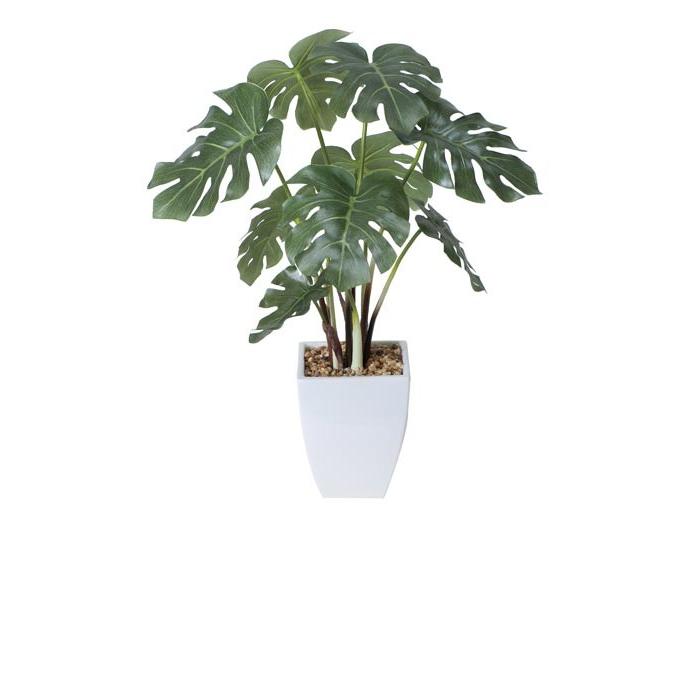 433A60 光の楽園 人工観葉植物 モンステラポット 光触媒 - www.pianurainn.it 433A60 光の楽園 人工観葉植物 モンステラポット 光触媒 - www.pianurainn.it
