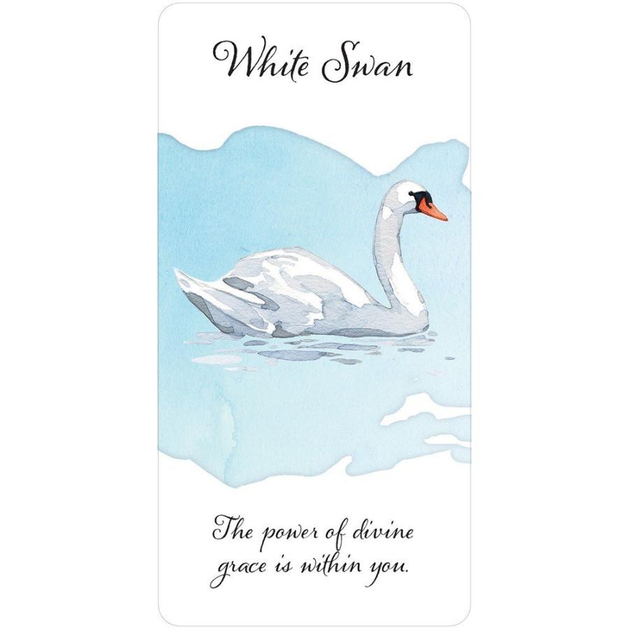 オラクルカード Us Games Systems 正規販売店 ディバイン フェザー メッセンジャー Divine Feather Messenger 鳥の羽 占い 1110 Waku Waku Shop Yahoo 店 通販 Yahoo ショッピング