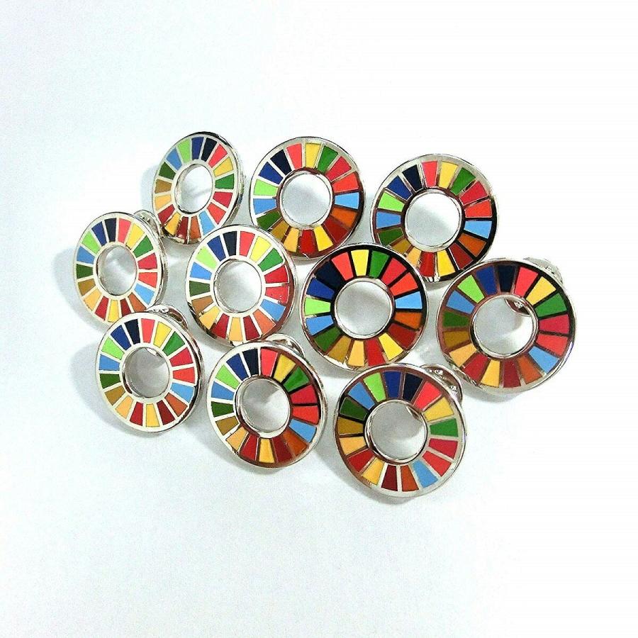 国連本部限定販売 SDGs ピンバッジ 日本未発売 UNDP 10個セット 国連本部限定販売 SDGs ピンバッジ 日本未発売 UNDP 10個セット