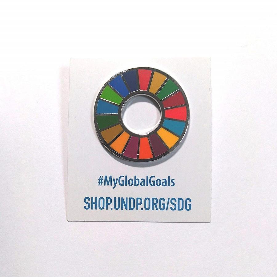 国連本部限定販売 SDGs ピンバッジ 日本未発売 UNDP 10個セット 国連本部限定販売 SDGs ピンバッジ 日本未発売 UNDP 10個セット