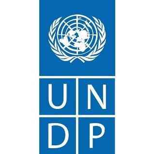 国連本部限定販売 SDGs ピンバッジ 日本未発売 UNDP （丸みタイプ1個）｜waku-waku-shop｜05