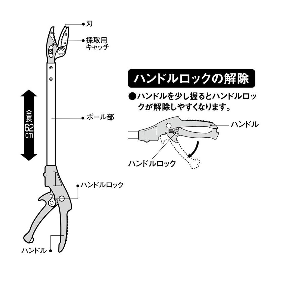 高枝切りバサミ 高枝切鋏 ムサシ スマートカット62cm 367 高枝切りばさみ 剪定ばさみ 高枝切り 軽量｜wakui-shop｜06