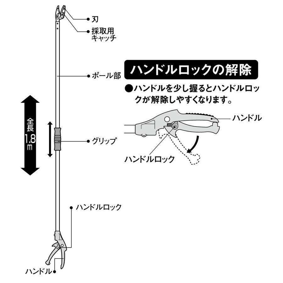 高枝切りバサミ 高枝切鋏 ムサシ スマートカット1.8m 368 高枝切りばさ