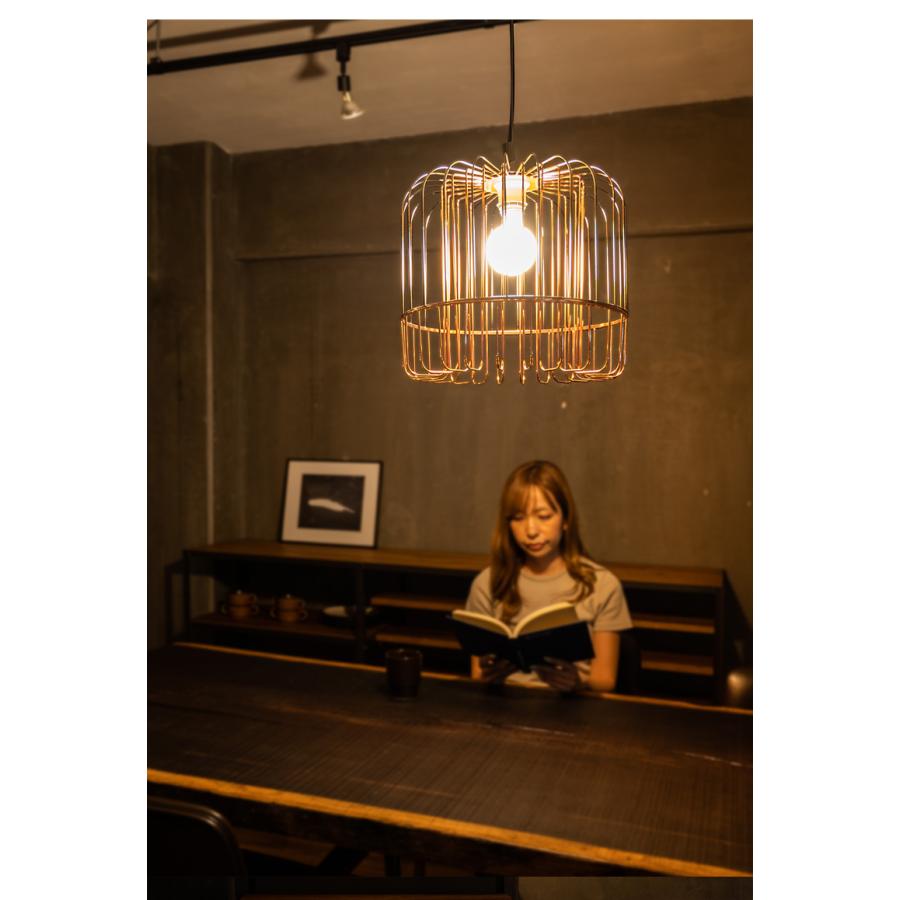 LEDペンダントライト EGLO ASUNCION 37cm 204274J リビング ダイニング