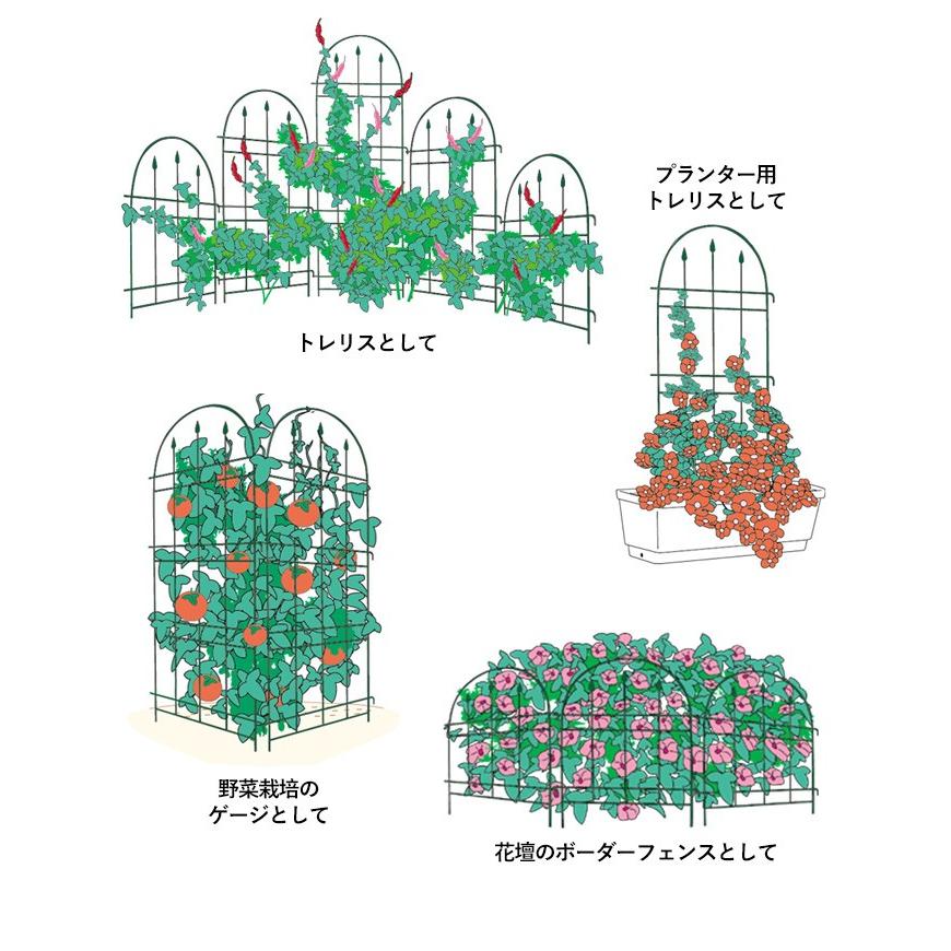 トレリスフェンスクラシックM 2P No.181 GREENGARDEN ガーデンフェンス