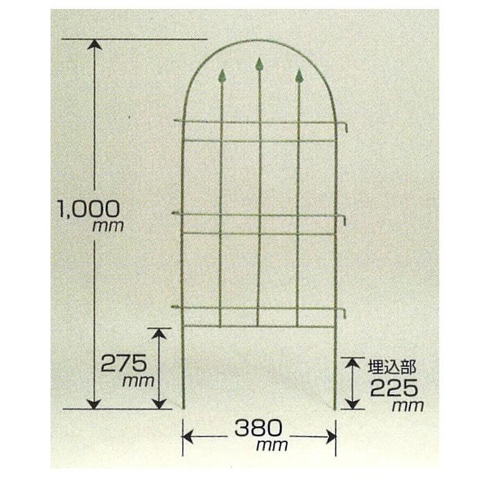 トレリスフェンスクラシックM 2P No.181 GREENGARDEN ガーデンフェンス アイアンフェンス 植物 ガーデニング 園芸用品 緑 花 ガーデンファニチャー 小林金物｜wakui-shop｜04