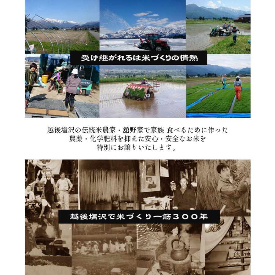 新米 令和5年度産 お米 こしひかり コシヒカリ 南魚沼産 武右衛門 無洗米20kg 新潟産 新潟県産 農家直送 魚沼産 塩沢産 評価特Aランク｜wakui-shop｜04