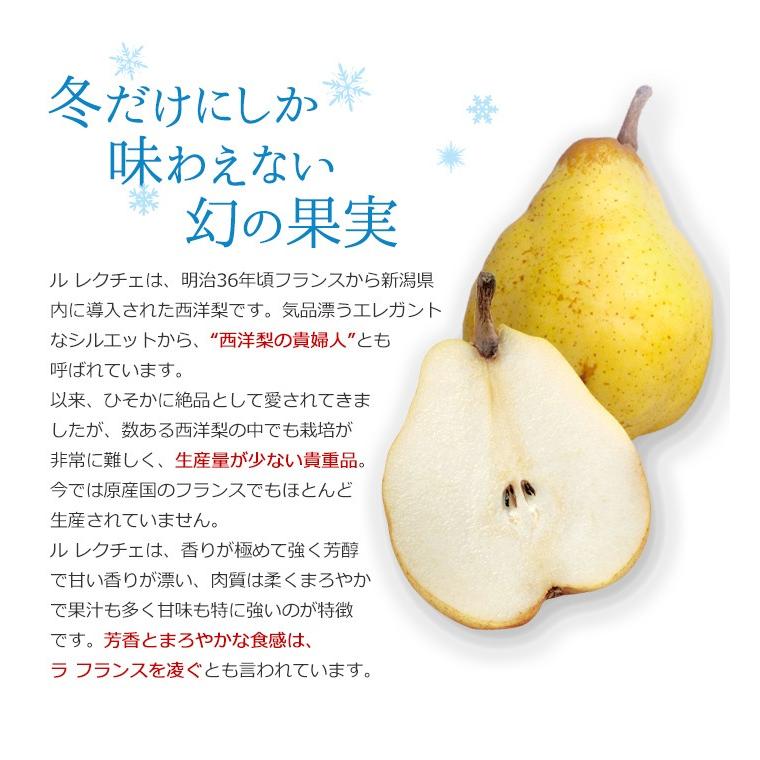 洋梨 冬季限定 高級ル・レクチェ 5〜7玉 約2kg 冬季限定販売 贈答用